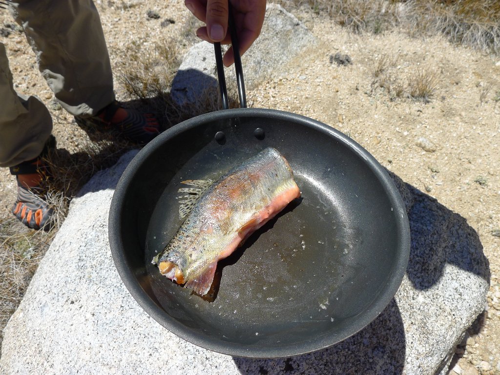 SouthernSierra 223